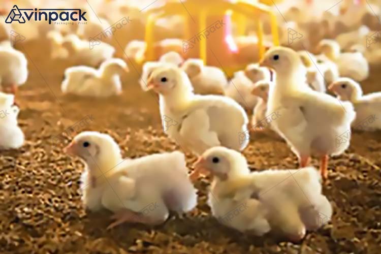 poultry bedding